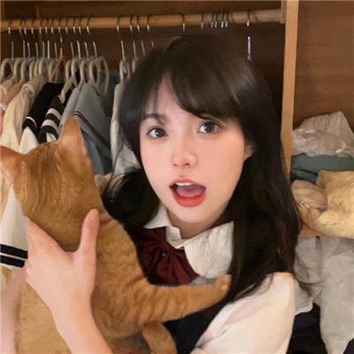 大坏狼